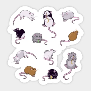 Rats, Rats, Rats Sticker